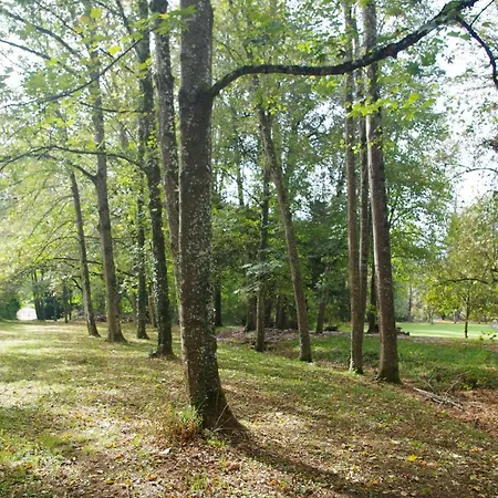 Couette-café Château D'argentonesse Castels