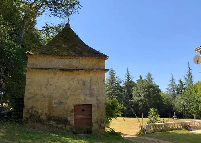 Chateau D'argentonesse Bed and breakfast Castels