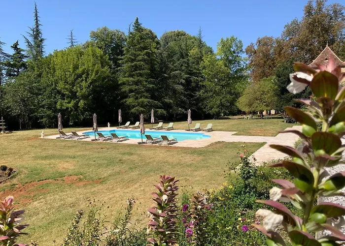 Chateau D'argentonesse Bed and breakfast Castels