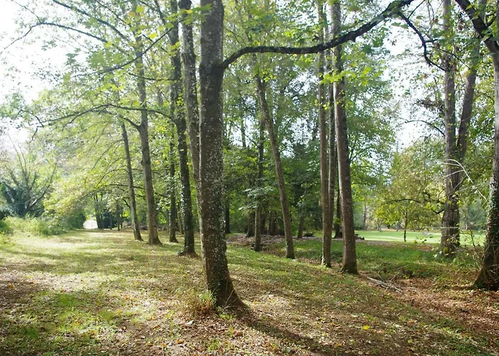 Bed and breakfast Chateau D'argentonesse Castels