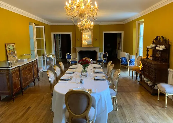 Bed and breakfast Chateau D'argentonesse Castels