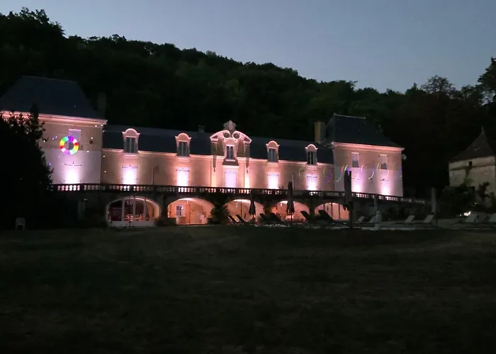 Chateau D'argentonesse Bed and breakfast Castels