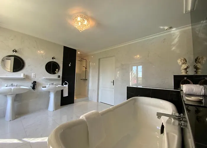 Bed and breakfast Chateau D'argentonesse Castels