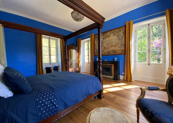 Chateau D'argentonesse 3*