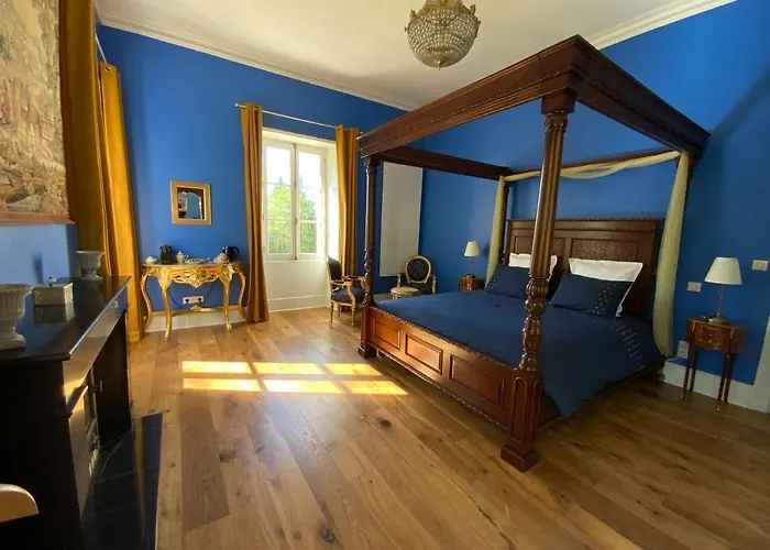 Bed and breakfast Chateau D'argentonesse Castels