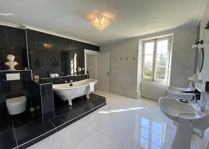 Chateau D'argentonesse 3*