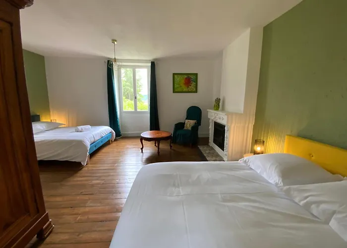 Chateau D'argentonesse Bed and breakfast Castels